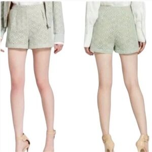 Victoria Beckham for Target Sea Green Lace Shorts